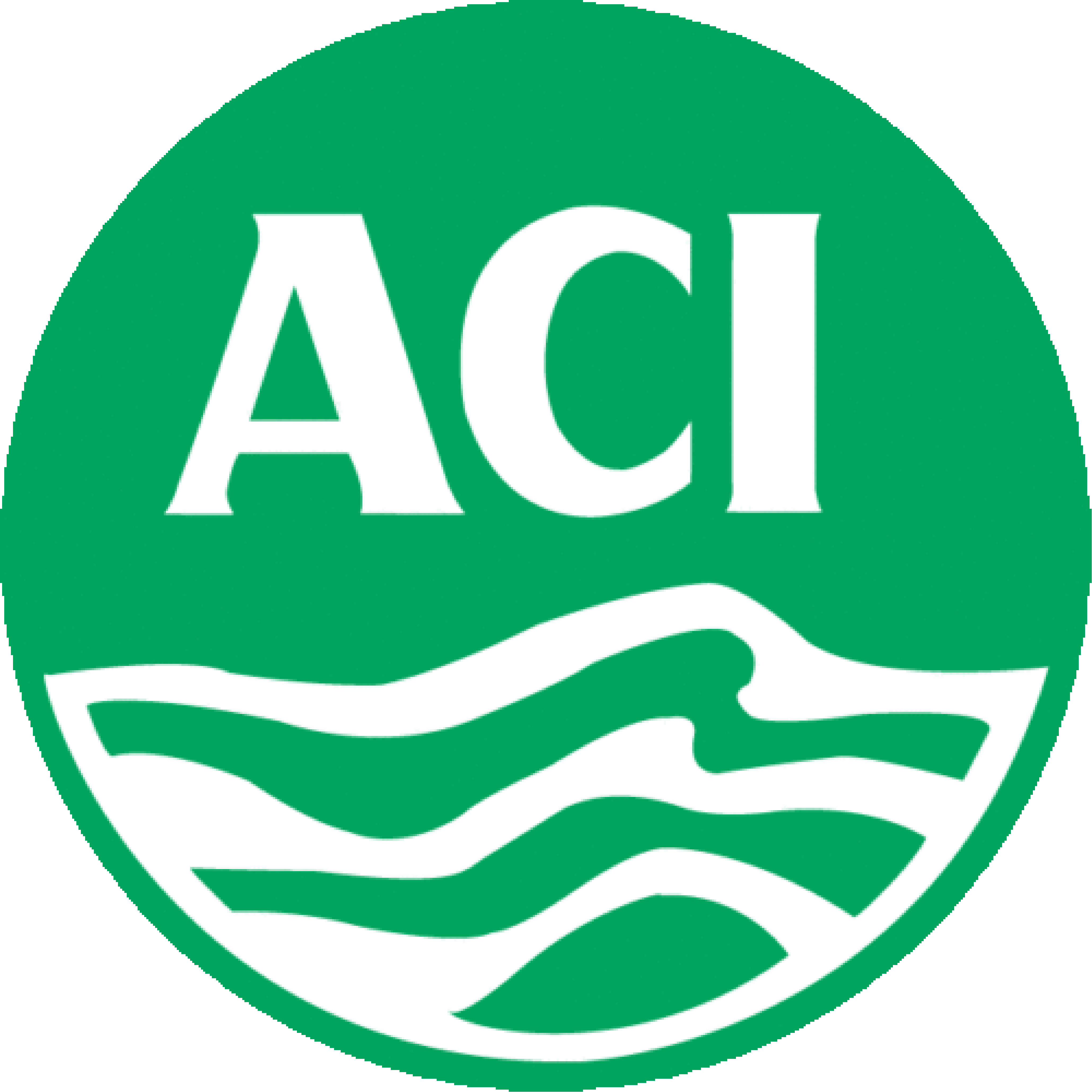 ACI Foods